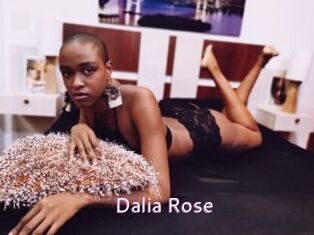 Dalia_Rose