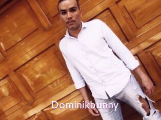 Dominikbunny