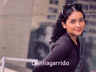 Dahliagarrido