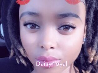 Daisy_royal