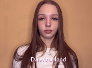 Daisyburland