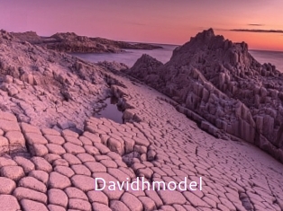 Davidhmodel