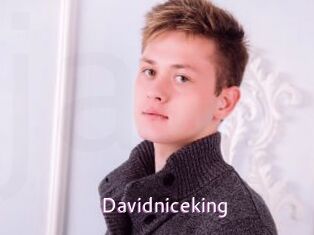 Davidniceking