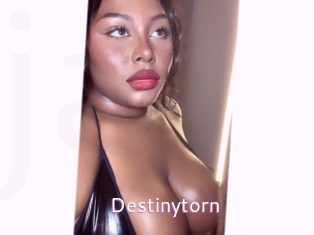 Destinytorn