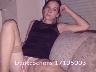 Deuxcochons