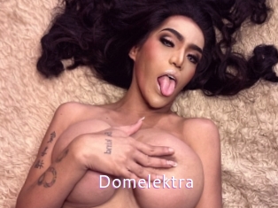 Domelektra