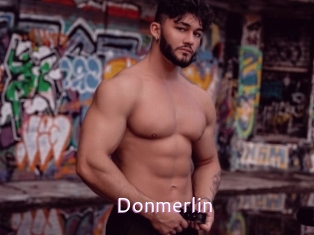 Donmerlin