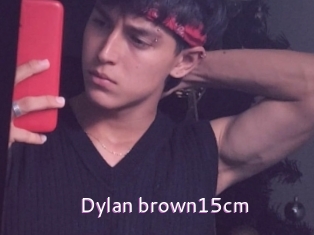 Dylan_brown15cm