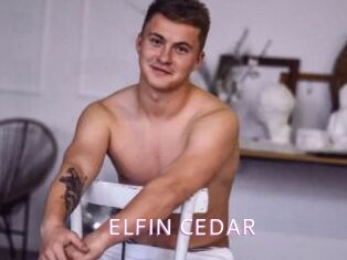 ELFIN_CEDAR