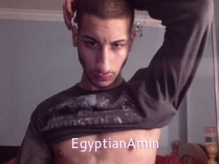 EgyptianAmin