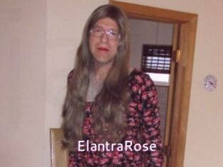 Elantra_Rose