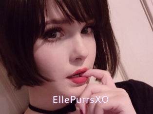 EllePurrsXO