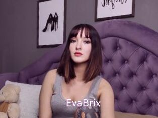 EvaBrix