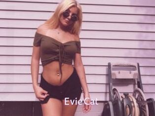 EvieCat