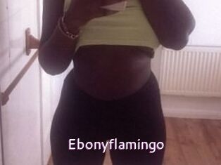 Ebony_flamingo