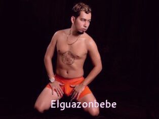 Elguazonbebe