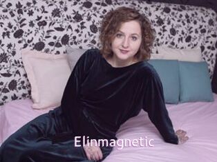 Elinmagnetic