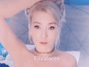 Elizalacee