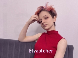 Elvaatcher