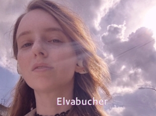 Elvabucher