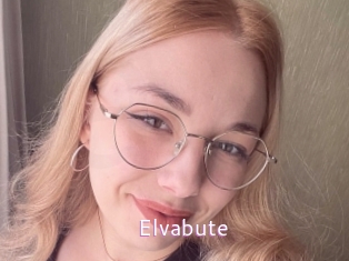 Elvabute