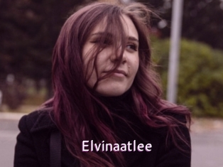 Elvinaatlee