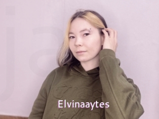 Elvinaaytes