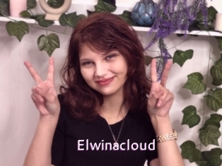 Elwinacloud