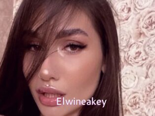 Elwineakey