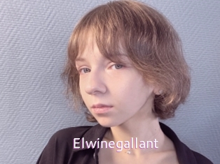 Elwinegallant