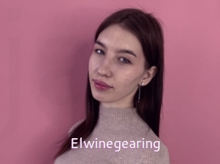 Elwinegearing