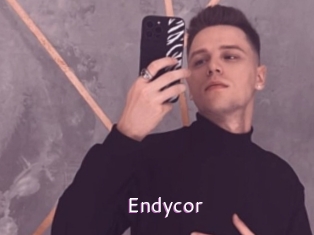 Endycor