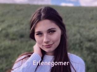 Erlenegomer