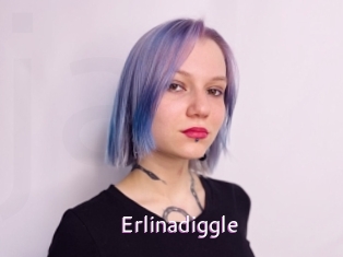 Erlinadiggle