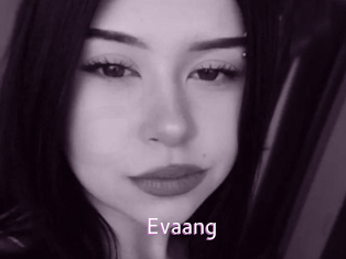 evaang Just Amateurs
