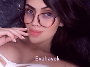 Evahayek