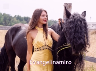 Evangelinamiro