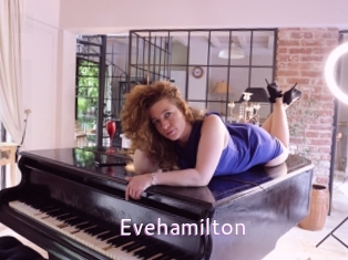 Evehamilton