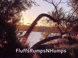 FluffsRumpsNHumps