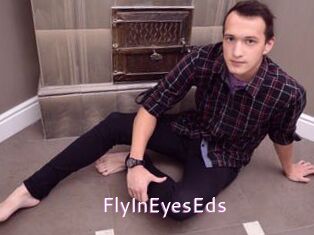 FlyInEyesEds