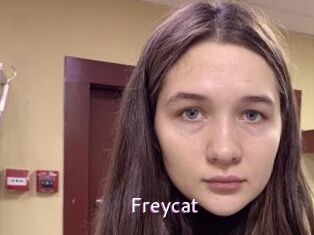 Freycat