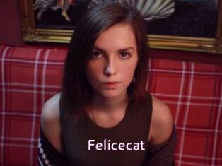 Felicecat