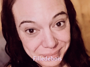 Filledebois