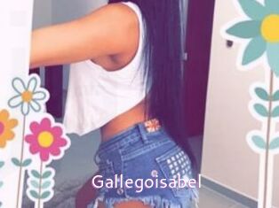 Gallegoisabel