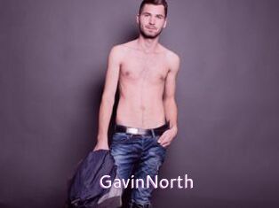 GavinNorth