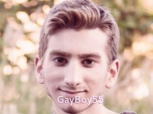 GayBoy55