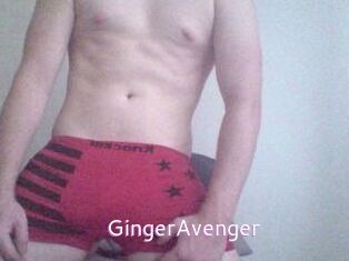 GingerAvenger