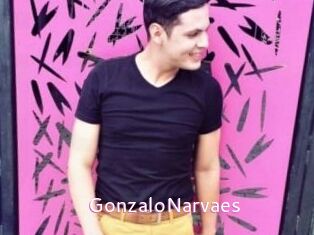 GonzaloNarvaes