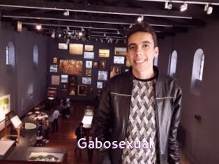 Gabosexual