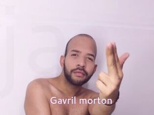 Gavril_morton